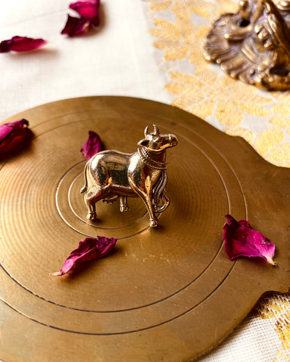 Bearer of Shiva | Statement Ring